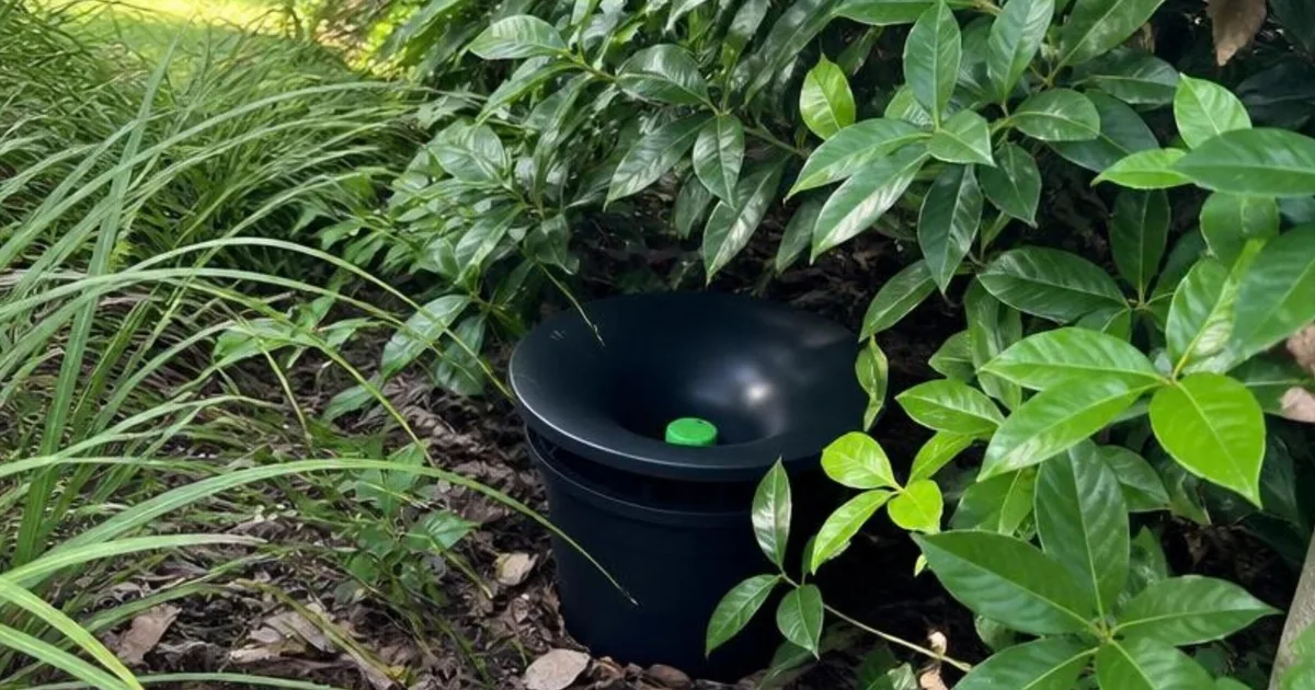 In2Care mosquito trap station placed in a shaded garden bed under shrubs